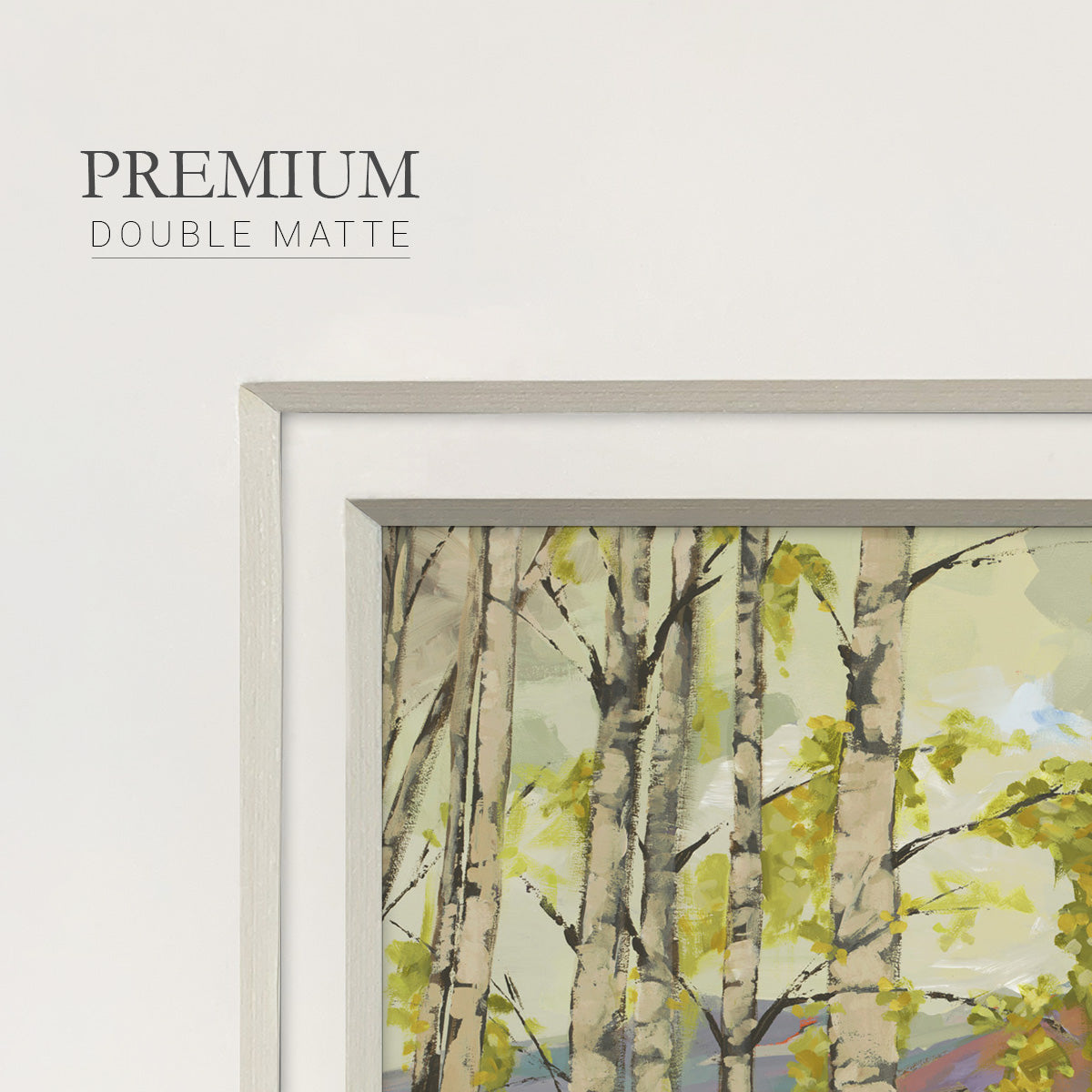 Birch Stand- Premium Framed Print Double Matboard