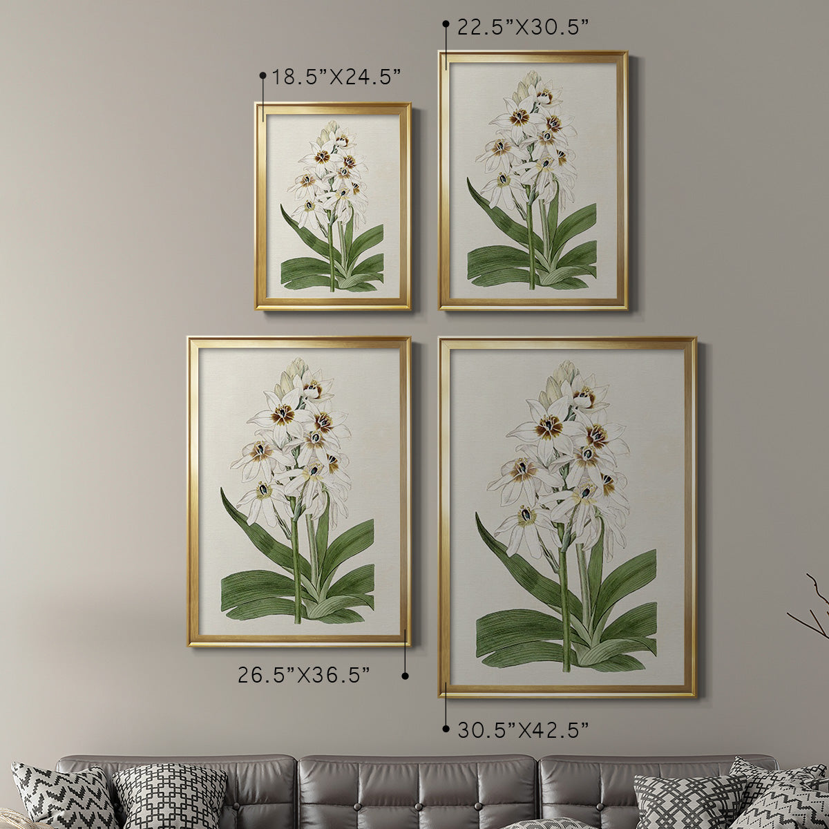 Flore Albo I - Modern Framed Canvas Print