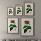 Antique Floral Folio I - Premium Framed Canvas 2 Piece Set - Ready to Hang