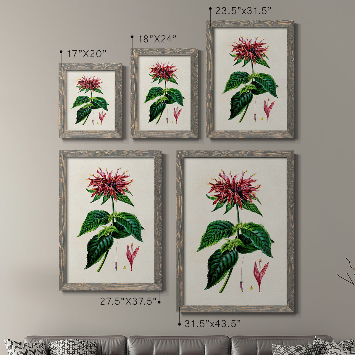 Antique Floral Folio I - Premium Framed Canvas 2 Piece Set - Ready to Hang