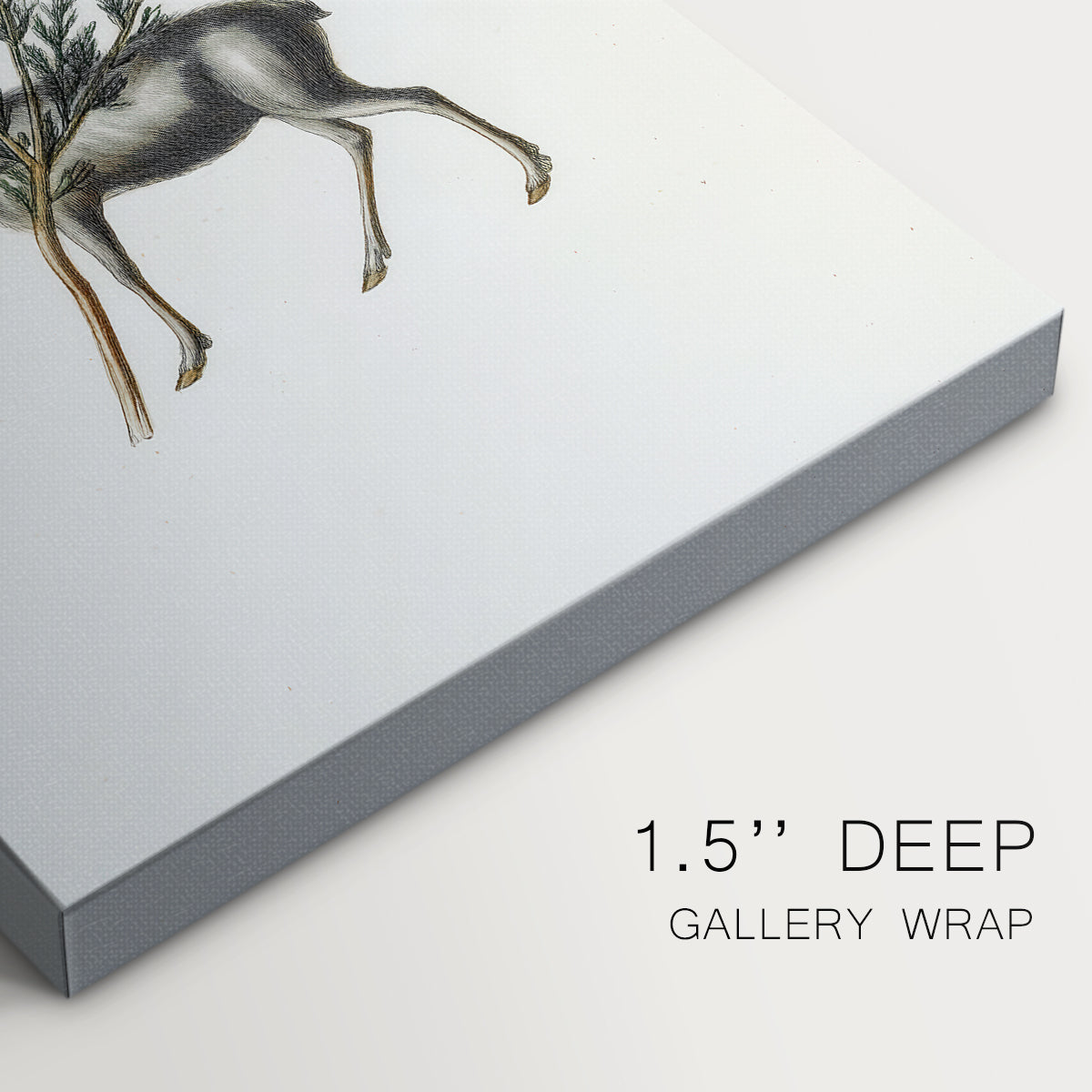 Midnight of Pearled Dawn - Canvas Art Print