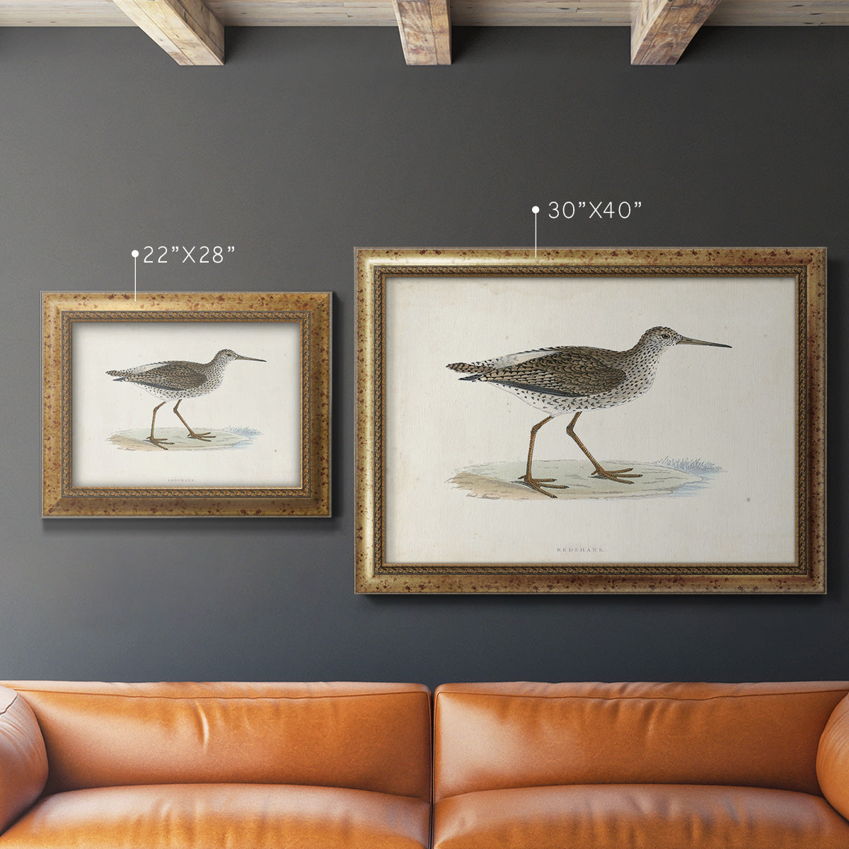 Morris Sandpipers V Premium Framed Canvas- Ready to Hang