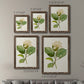 Size comparison chart for a set of two walnut barnwood framed canvas prints.