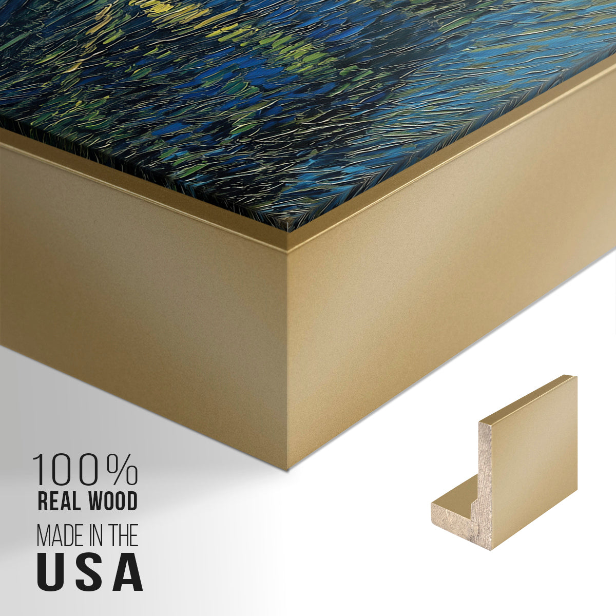 Starry Night Over the Rhône, 1888 - Floater Framed Canvas Print