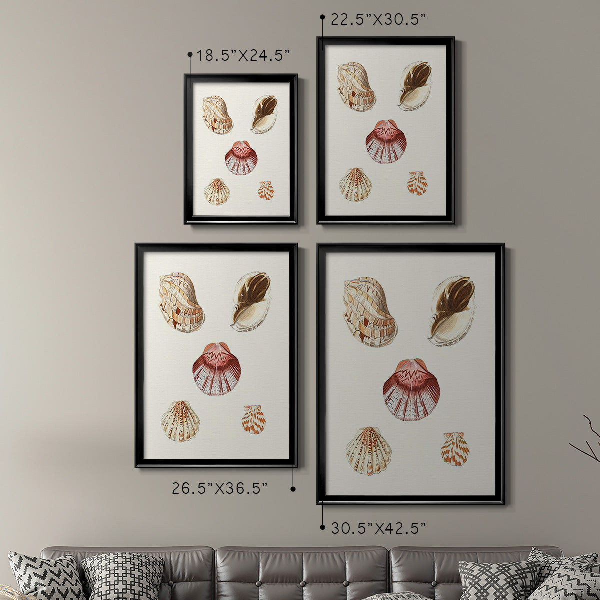 Pastel Knorr Shells V - Modern Framed Canvas Print