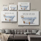 Splish Splash Premium Gallery Wrapped Canvas - Ready to Hang