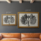 Blossfeldt Botanical VIII Premium Framed Canvas- Ready to Hang