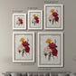 Botanical Bouquet Carnations - Premium Framed Canvas 2 Piece Set - Ready to Hang