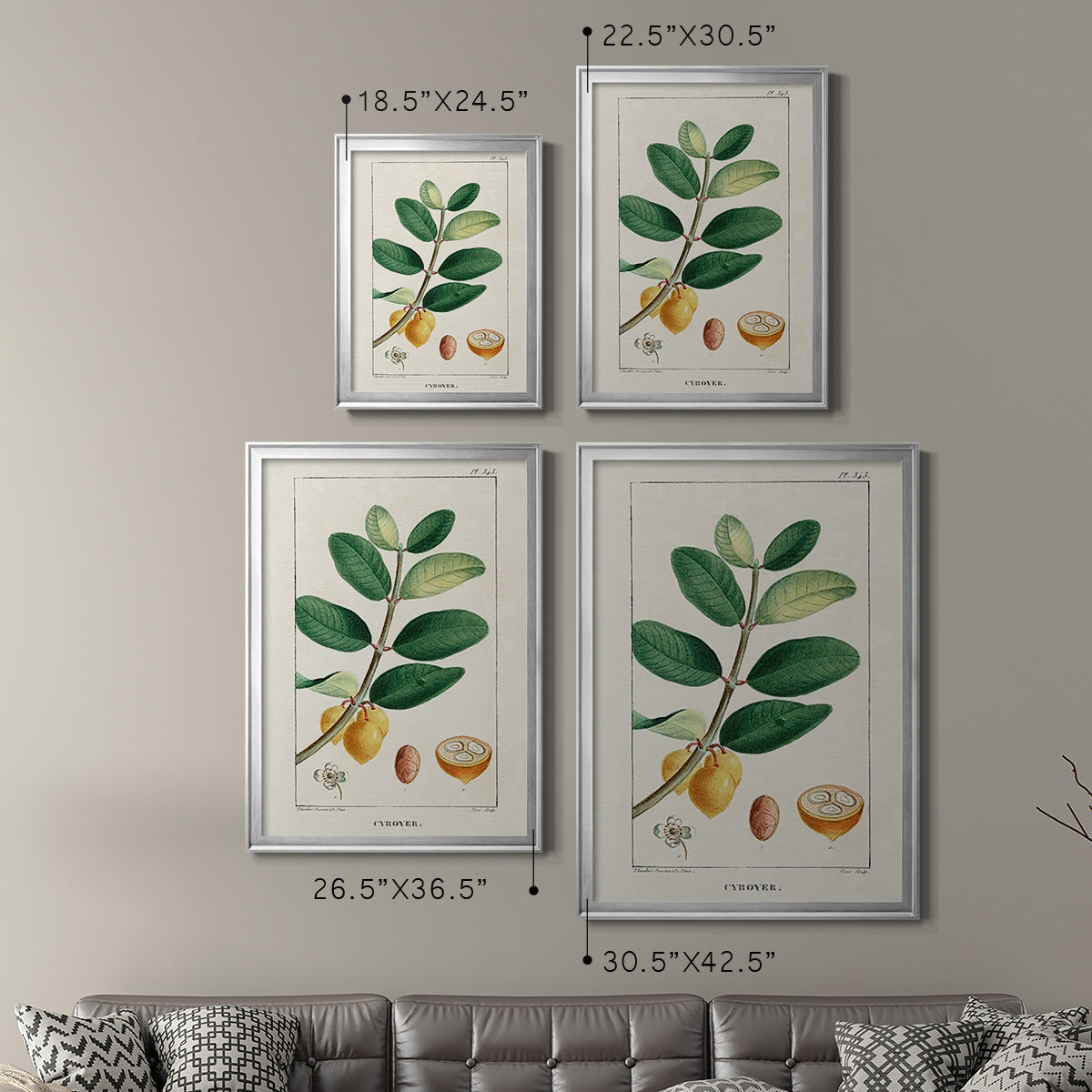 Turpin Tropical Botanicals V - Modern Framed Canvas Print