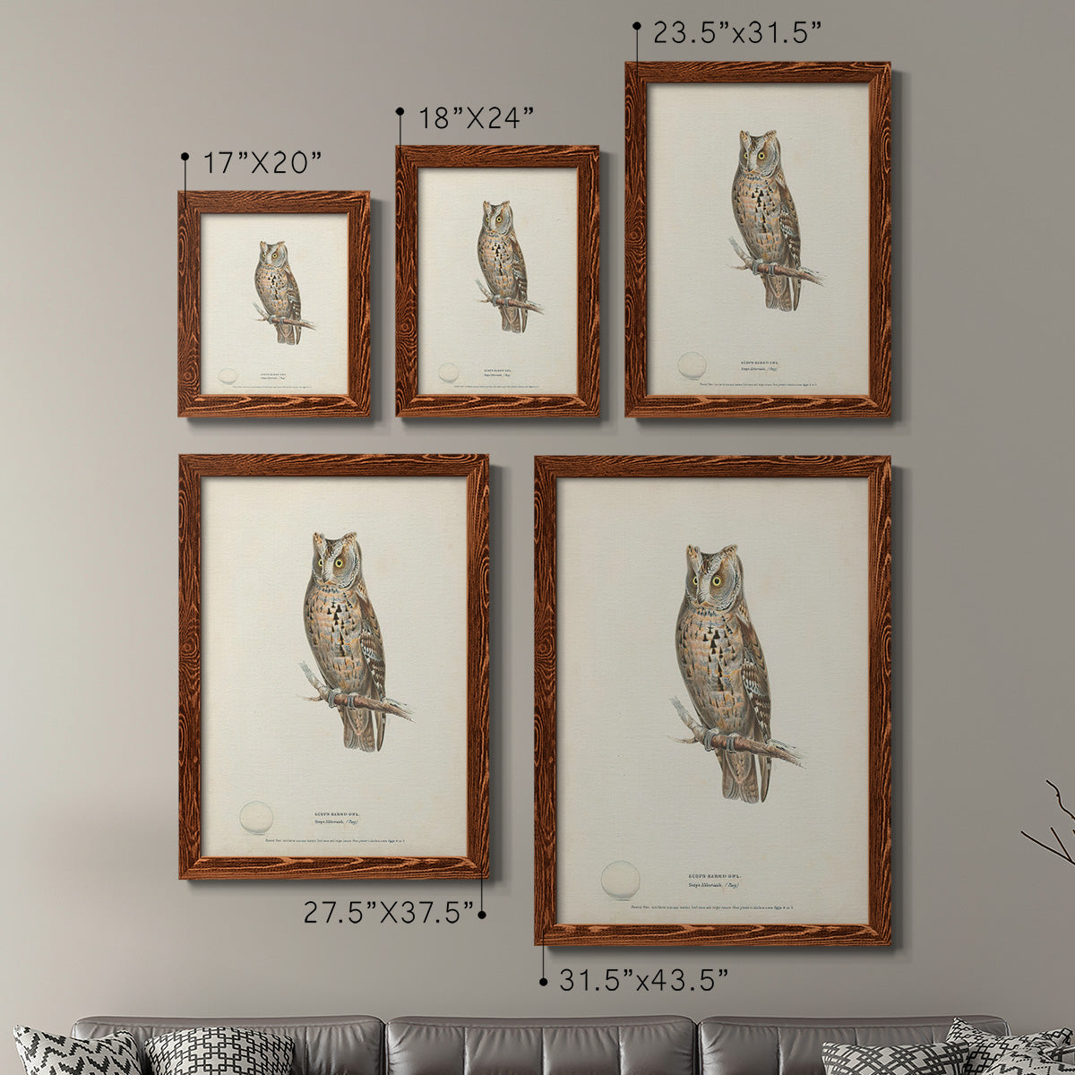 Scops- Eared Owl - Premium Framed Canvas 2 Piece Set - Ready to Hang