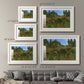 The Grass Is Always Greener - Barnwood Framed Art Print
