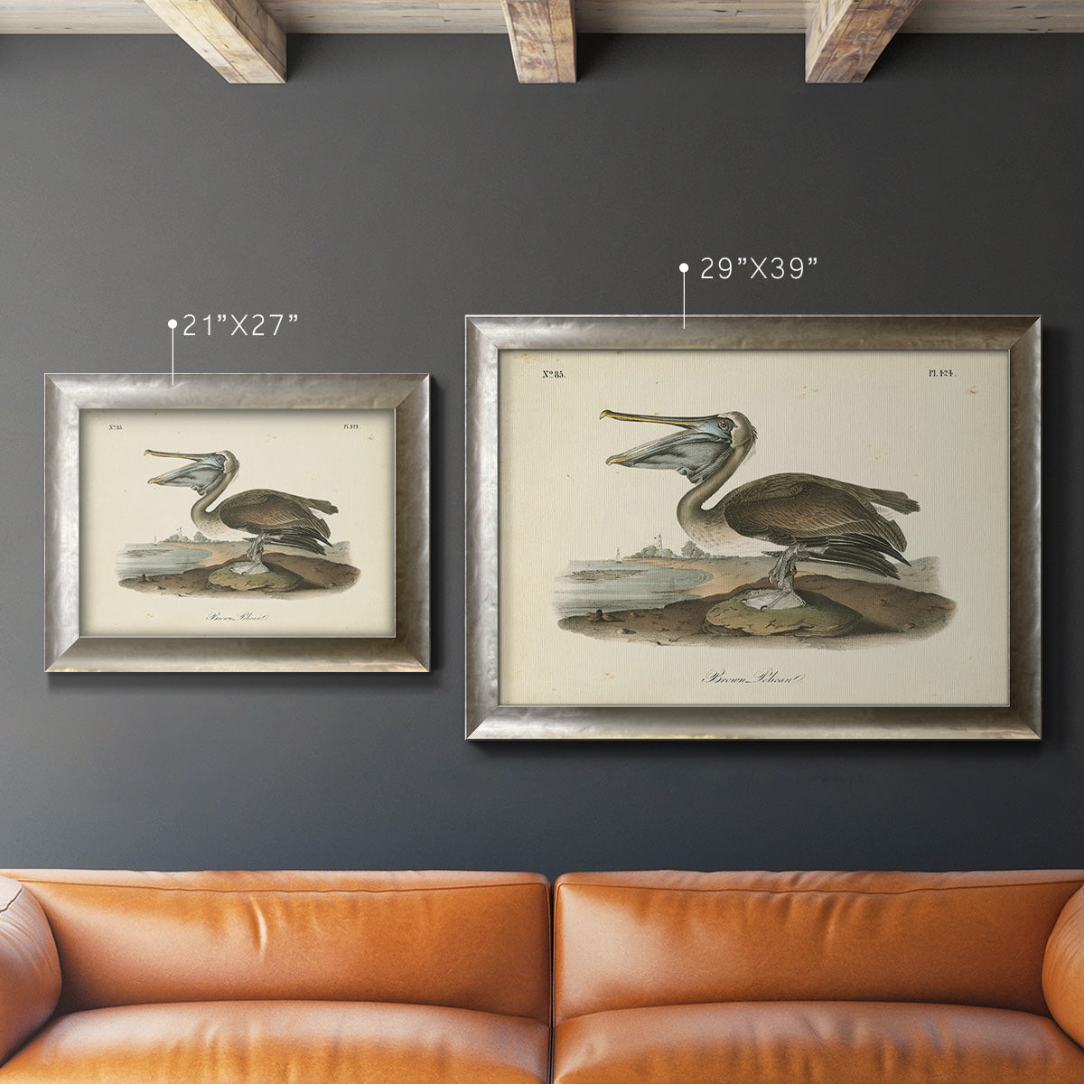 Audubons Brown Pelican - Ornate Framed Canvas Print