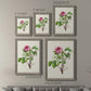 Pretty Pink Botanicals V - Premium Framed Canvas 2 Piece Set - Ready to Hang