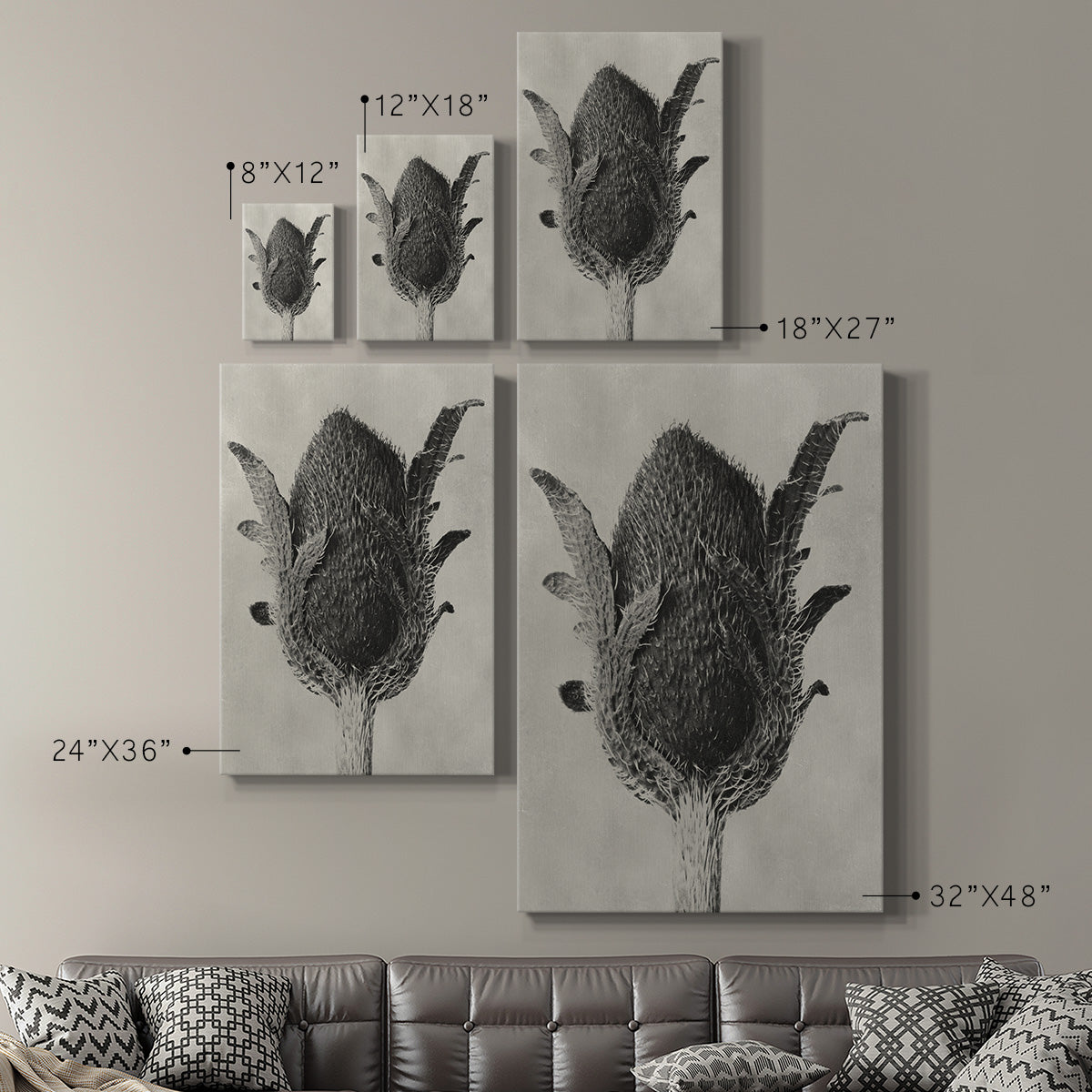 Blossfeldt Botanical VI Premium Gallery Wrapped Canvas - Ready to Hang