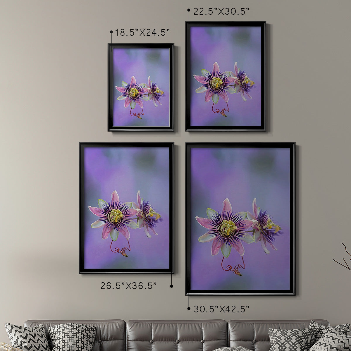 Exotic Flower Burst II - Modern Framed Canvas Print