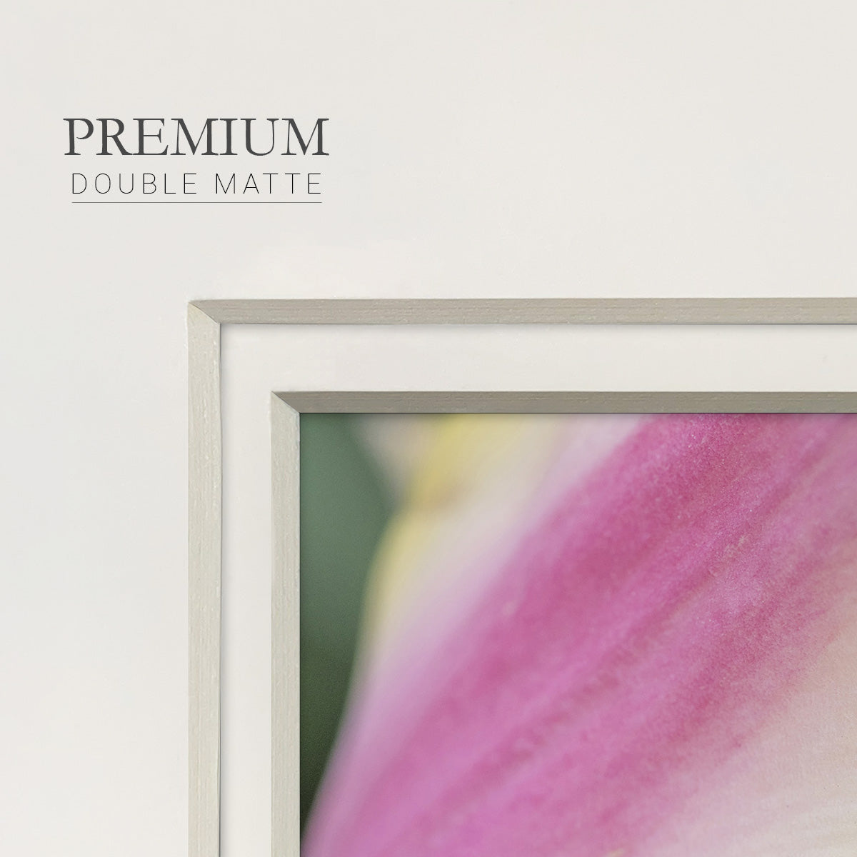 Delicate- Premium Framed Print Double Matboard