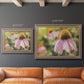 Echinacea Study I Premium Framed Canvas- Ready to Hang