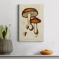 Mushroom Varieties VI Premium Gallery Wrapped Canvas - Ready to Hang