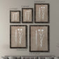 Botany Beauty III - Premium Framed Canvas 2 Piece Set - Ready to Hang