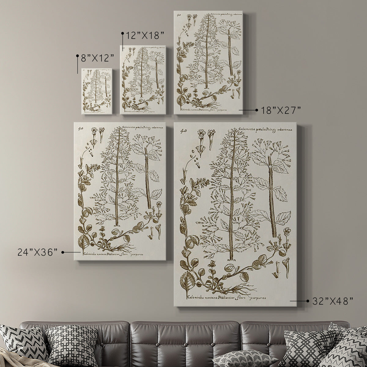 Sepia Botanical Journal V - Canvas Art Print