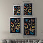 Collected Flutter IV - Modern Framed Canvas Print