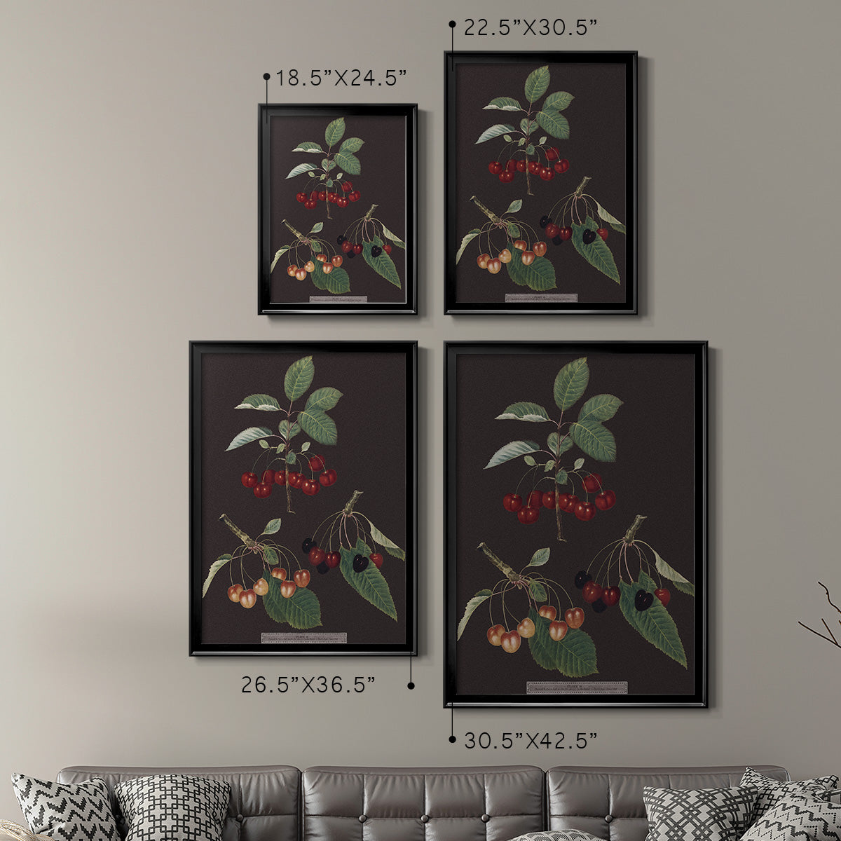 Brookshaw Cherries - Modern Framed Canvas Print