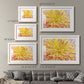 Blooms III - Barnwood Framed Art Print