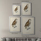 French Owls I - Modern Framed Canvas Print