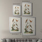 Antique Birds in Nature IV - Modern Framed Canvas Print