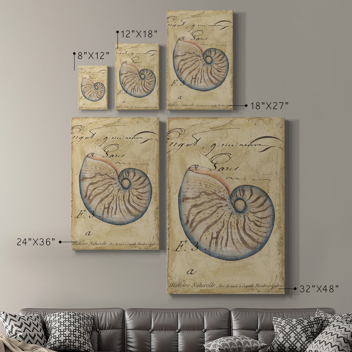 Seashell Ephemera II Premium Gallery Wrapped Canvas - Ready to Hang