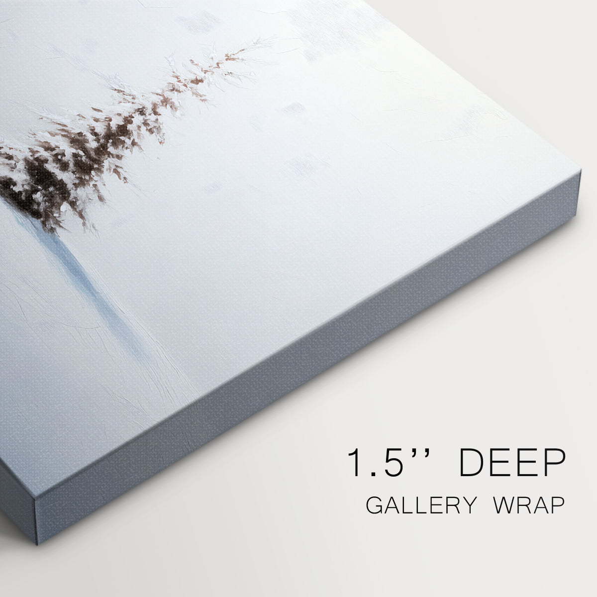 Silver Silence of Fir - Canvas Art Print