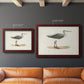 Morris Sandpipers I Premium Framed Canvas- Ready to Hang