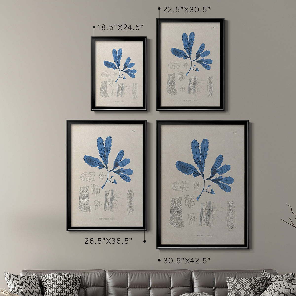 Blue Marine Algae VII - Modern Framed Canvas Print