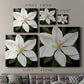 Midnight Magnolia I - Canvas Art Print