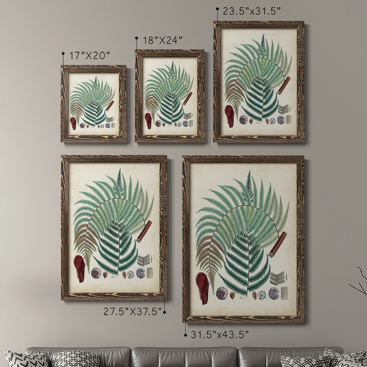 Collected Ferns I - Premium Framed Canvas 2 Piece Set - Ready to Hang