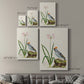 Amaryllis, Lily, and Waxwing, 1796 - Canvas Art Print