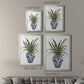 Fern House II - Modern Framed Canvas Print