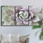 Three-panel canvas wall art featuring close up succulent photography, displayed in a living room above a sofa.