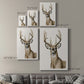 Handsome Whitetail I - Canvas Art Print
