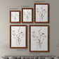 Pressed Botanical I - Premium Framed Canvas 2 Piece Set - Ready to Hang