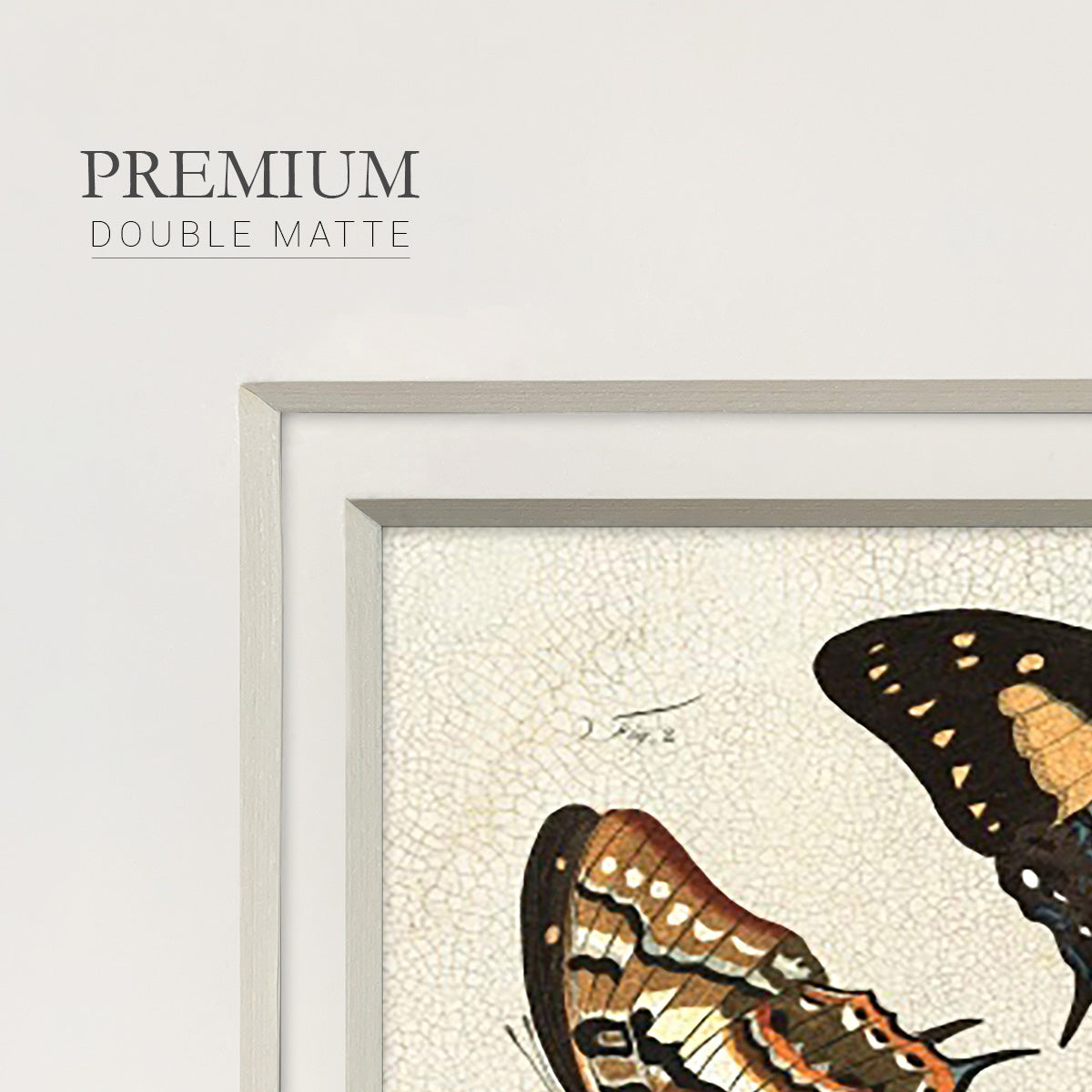 Crackled Butterflies IV Premium Framed Print Double Matboard