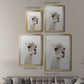 Soft Llama - Modern Framed Canvas Print