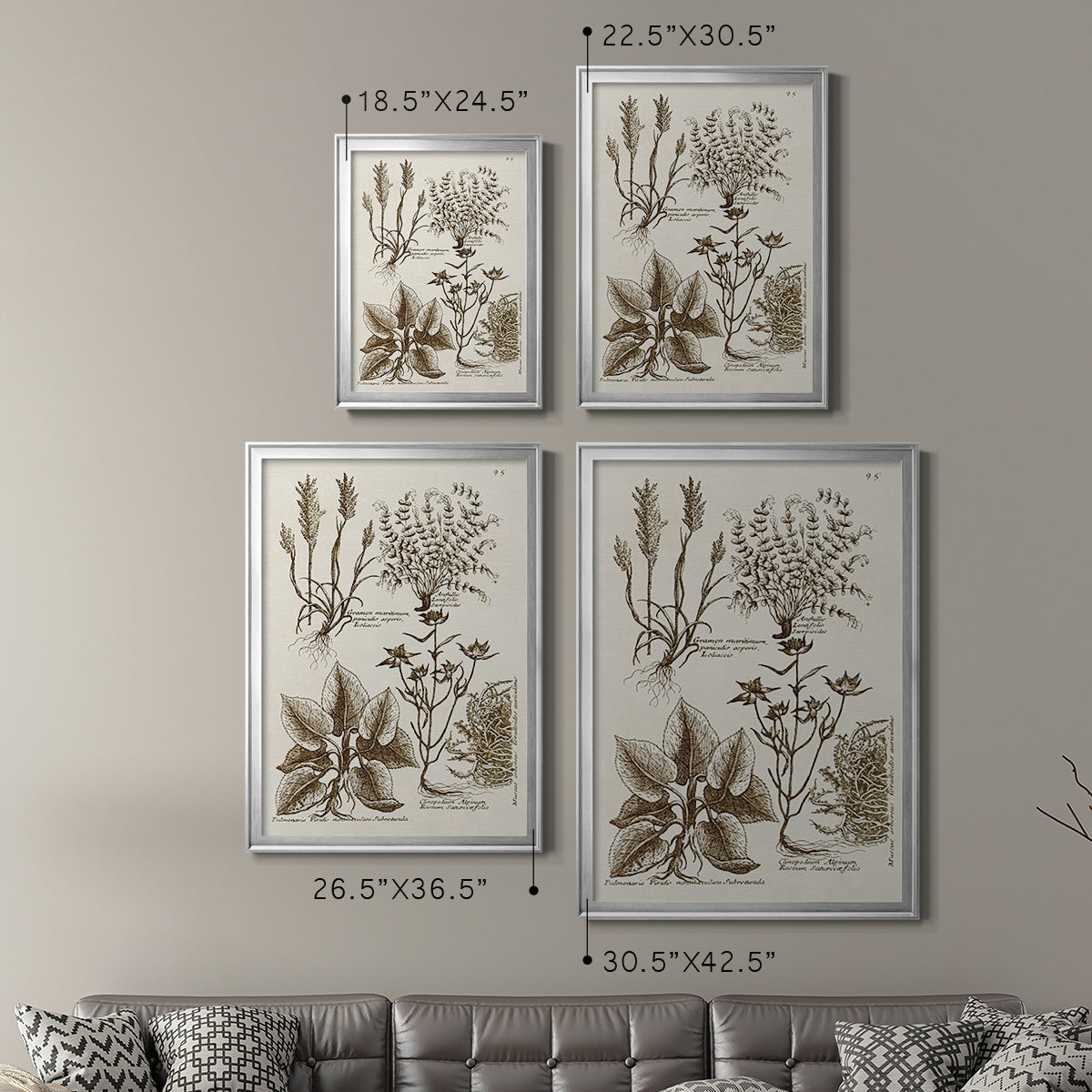 Sepia Botanical Journal VII - Modern Framed Canvas Print