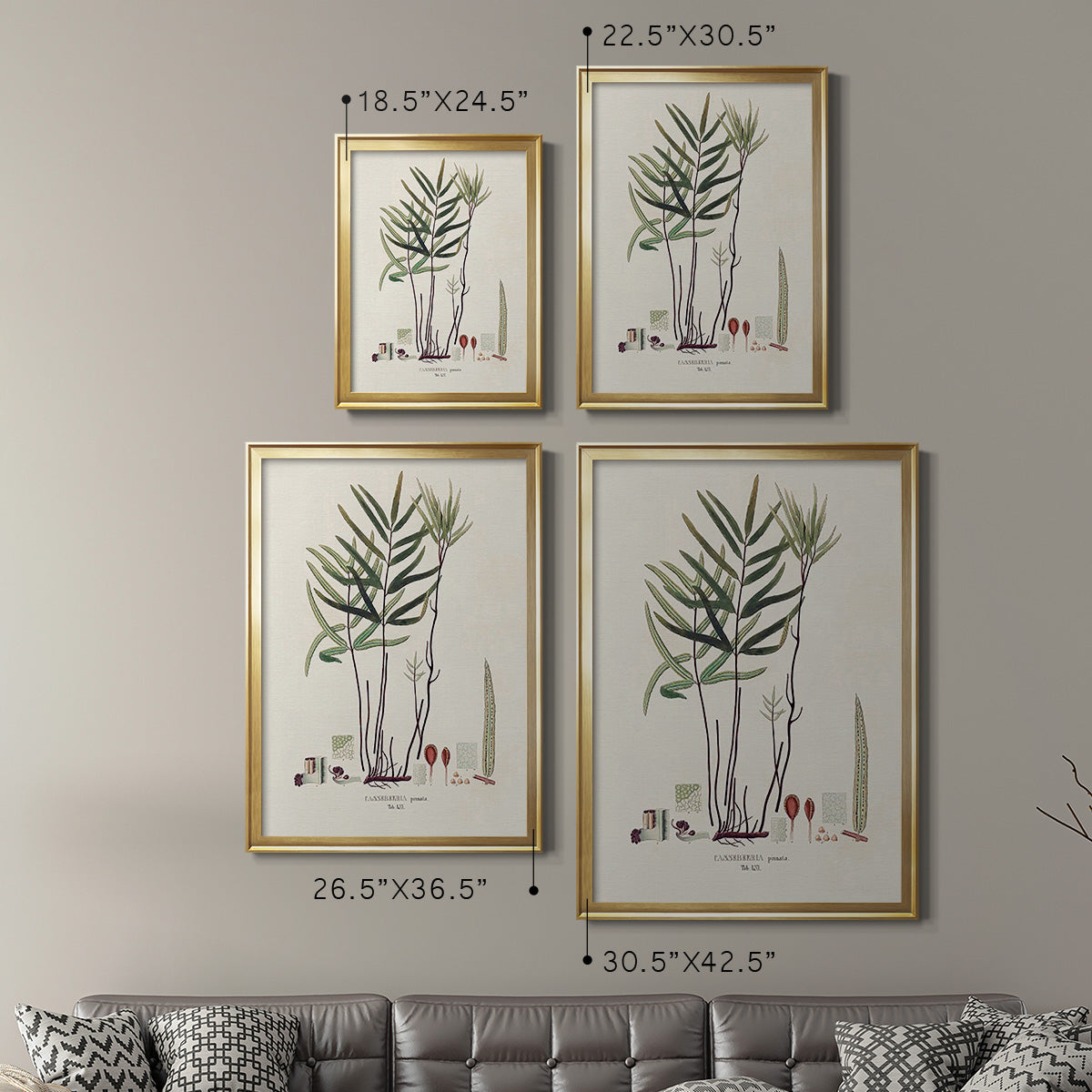 Botanical Society Ferns XI - Modern Framed Canvas Print