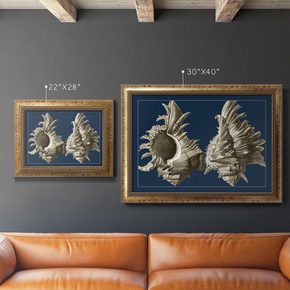 Conch Shells on Navy II Premium Framed Canvas- Ready to Hang