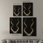 Spiral Antelope Horns -  Framed Canvas Print