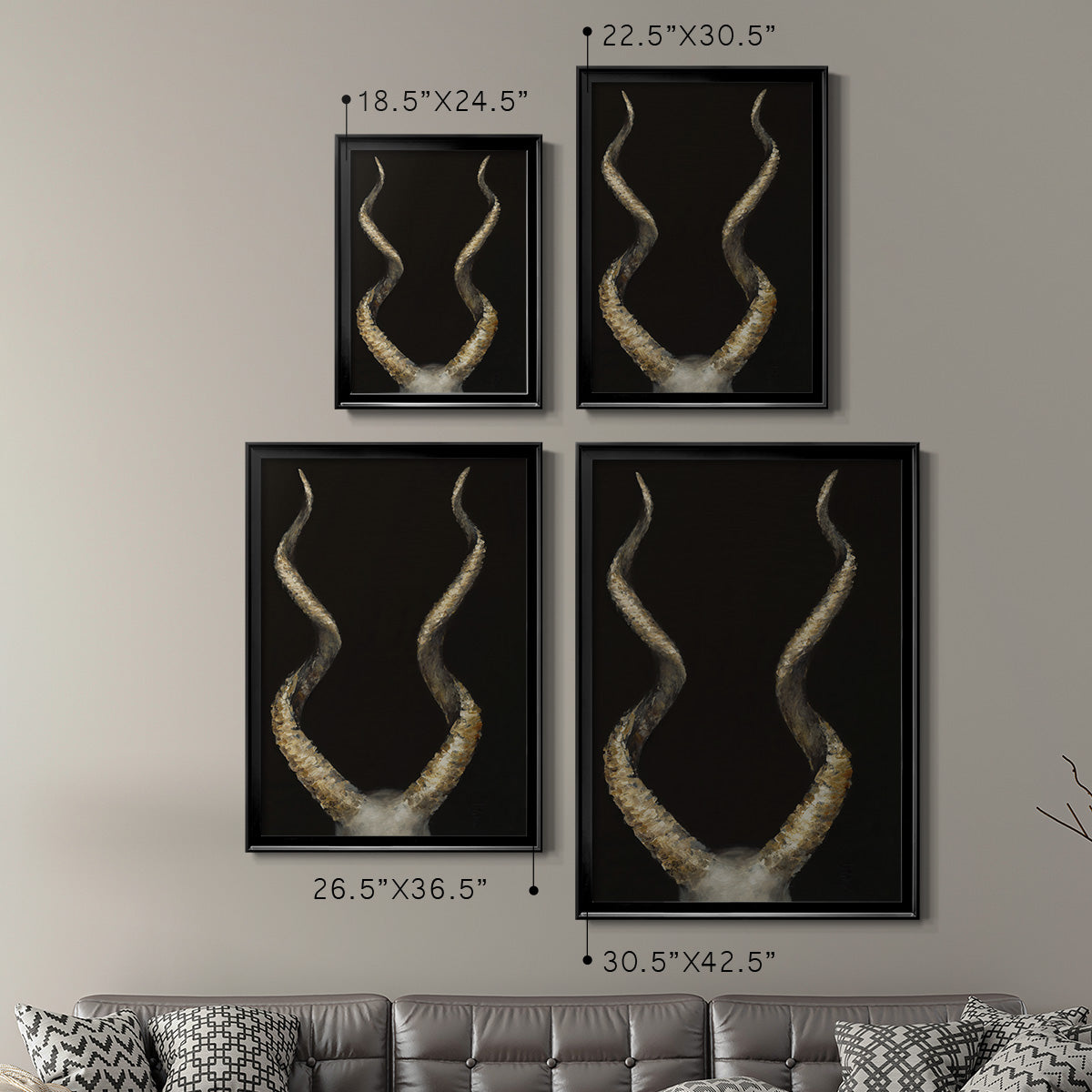 Spiral Antelope Horns -  Framed Canvas Print