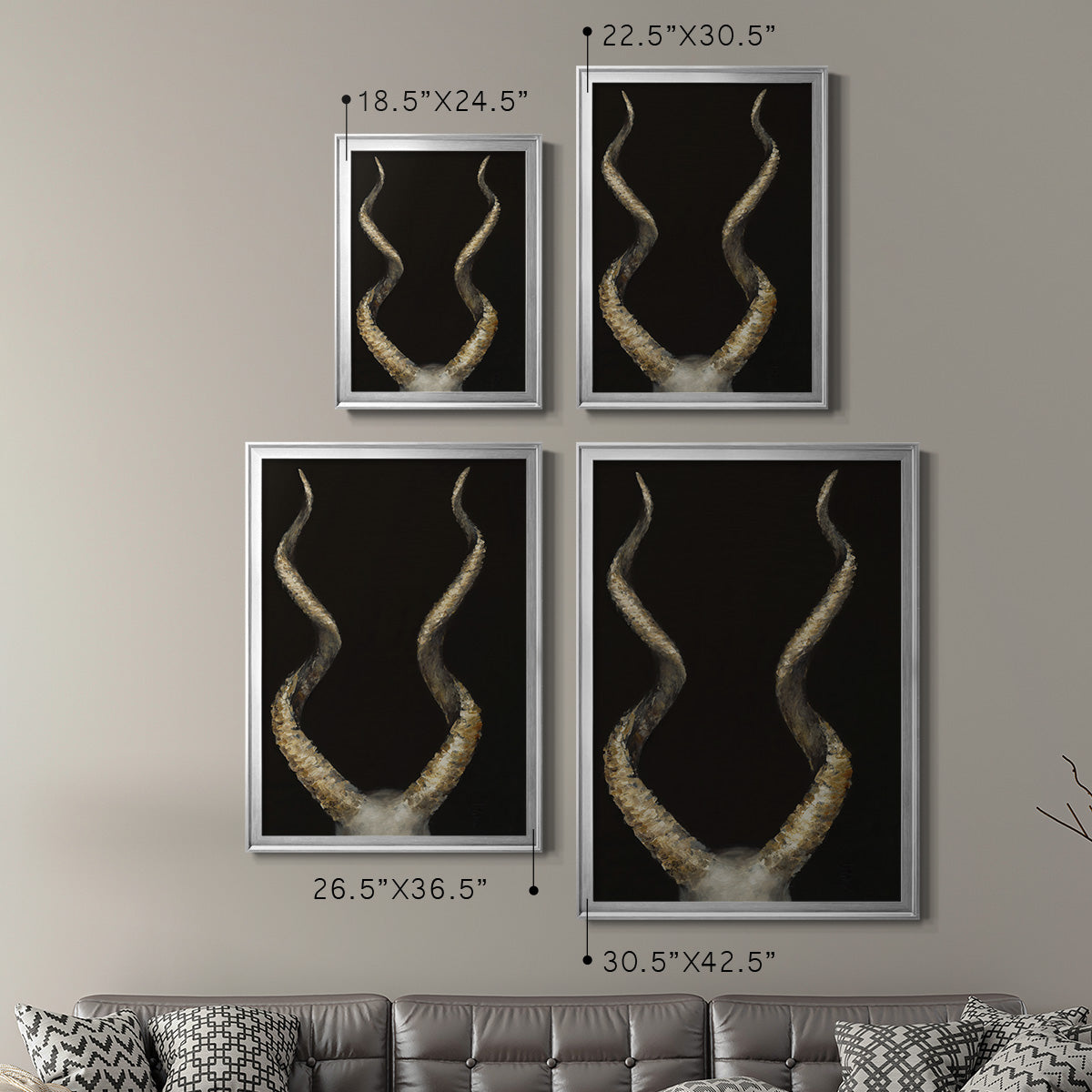 Spiral Antelope Horns -  Framed Canvas Print