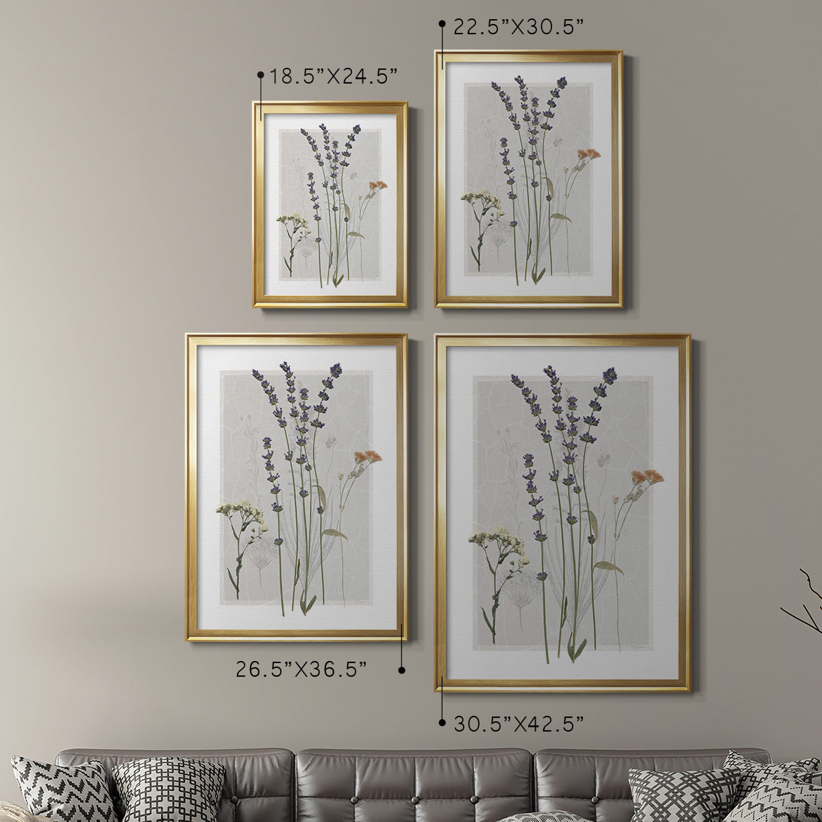 Field Study Page I - Modern Framed Canvas Print