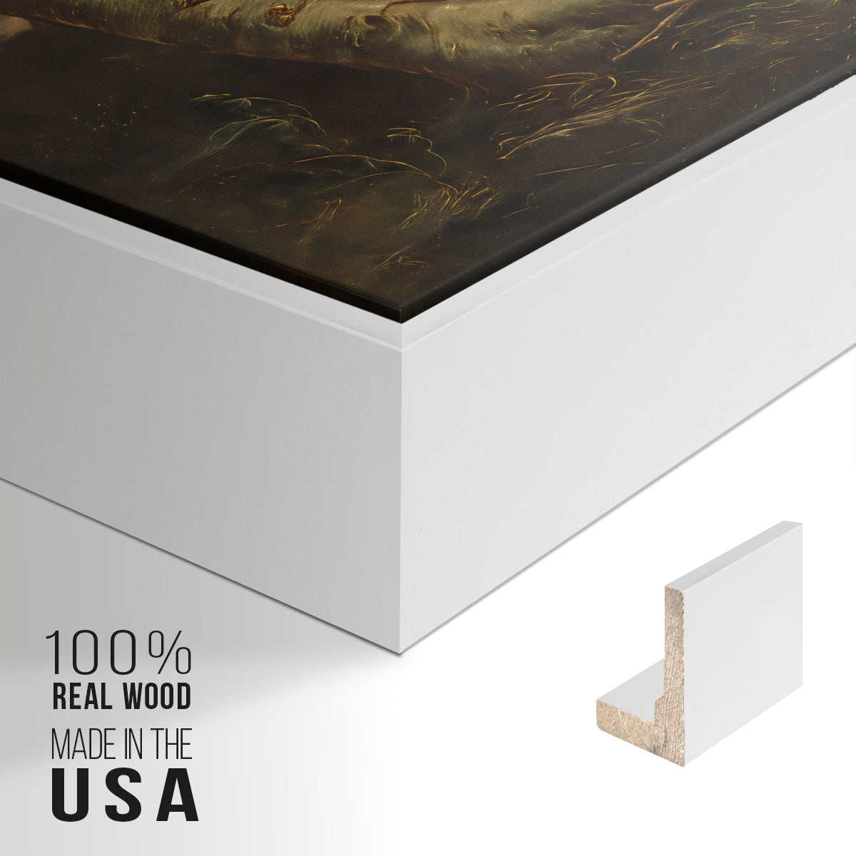 Tornado in an American Forest, 1835 - Floater Framed Canvas Print